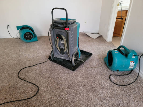Best Sewage cleanup and water damage restoration  in Ellerslie, GA