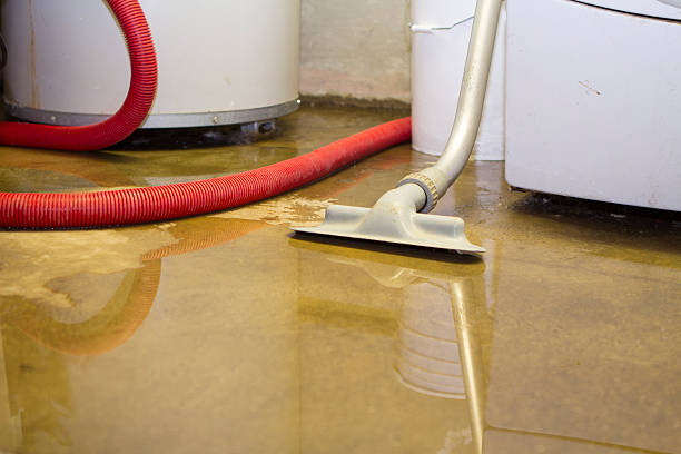 Best Local water damage restoration  in Ellerslie, GA