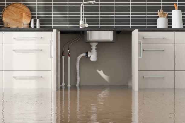 Best 24-hour water damage restoration  in Ellerslie, GA